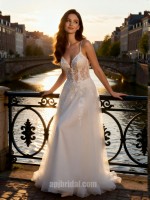 APJbridal Romantic Spaghetti Strap Deep V-Neck Lace A-Line Wedding Dress with Tulle Skirt